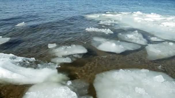 Floating of ice on the river in sunny day — Stock Video