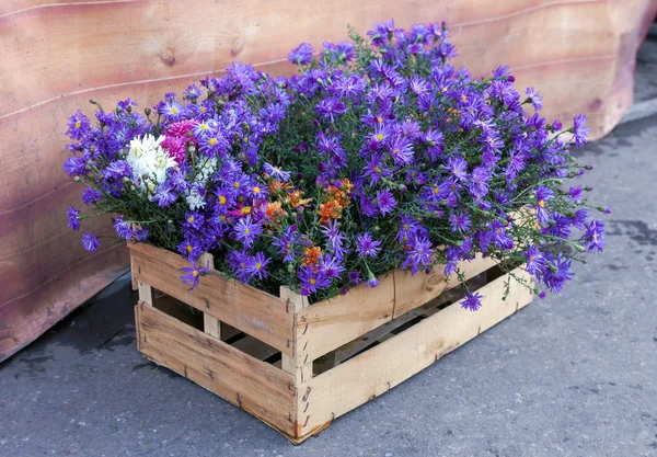 Caja de madera con flores decorativas — Foto de Stock