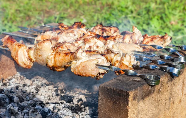 Appetizing hot shish kebab on metal skewers — Stock Photo, Image