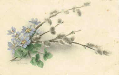 Antika kartpostal. Verba. 1907.