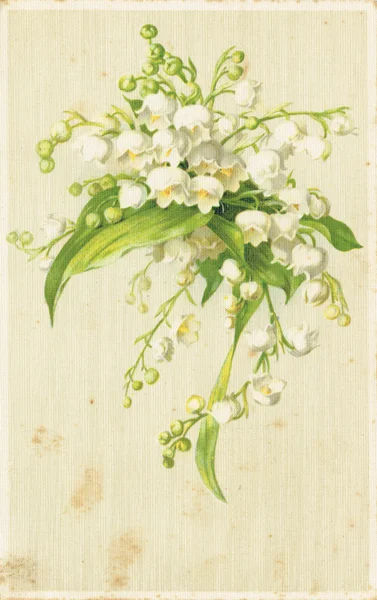 Antika kartpostal. Vadideki zambak. 1911.