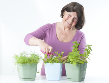 Yaşlı kadın taze otlar keser