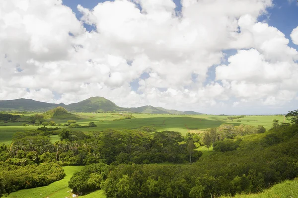 Natur von mauritius Stockbild