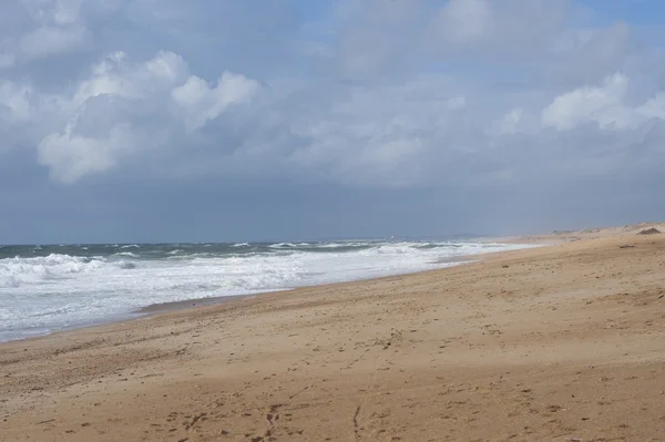 Атлантичному узбережжі під час висока хвиля — стокове фото