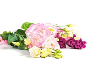 Açık renkli Eustoma çiçekler
