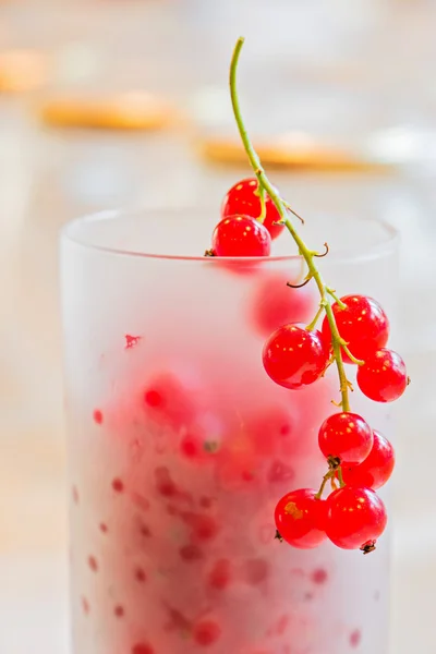 Fresh red currants in glass — Stock Photo, Image