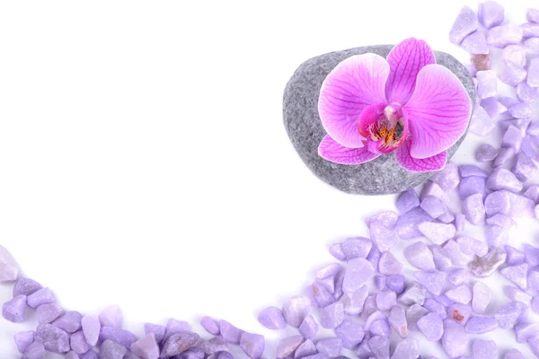 Sale, pietra e orchidea — Foto Stock