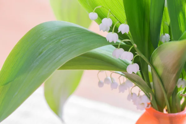 Bouquet de lys de la vallée — Photo