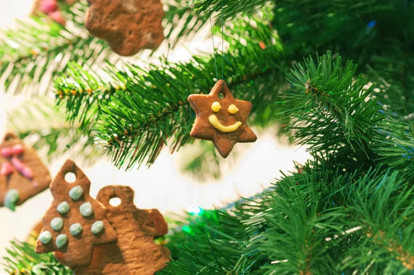 Gingerbread cookies on christmas tree — Stock Photo, Image