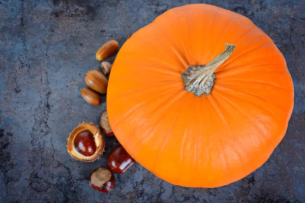 Ovansida i pumpan — Stockfoto