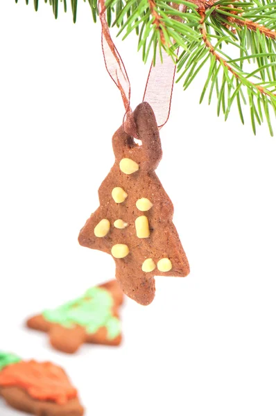 Biscoito de gengibre na árvore de Natal — Fotografia de Stock