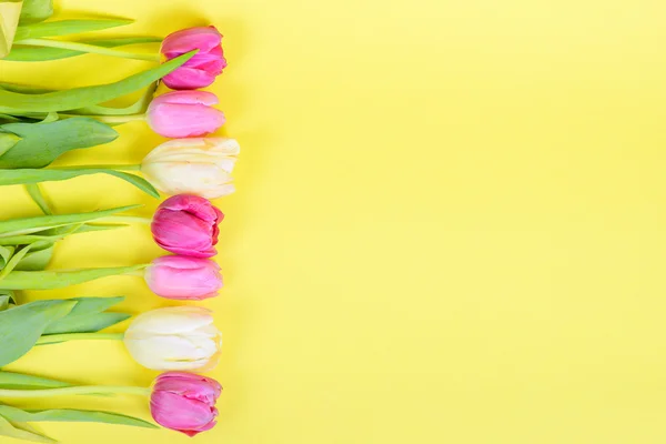 Wiersz tulipany wielobarwny na granicy lub ramki — Zdjęcie stockowe