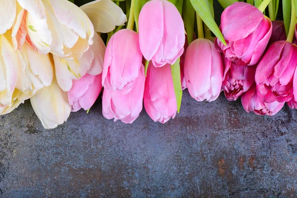 Verse roze tulpen — Stockfoto