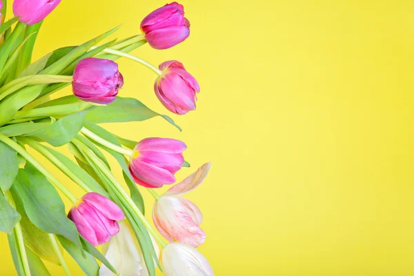 Vue sur les tulipes sur papier jaune — Photo