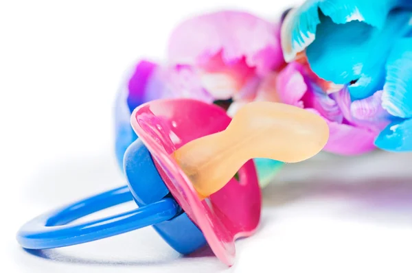 Pacifier with multicolored tulips — Stock Photo, Image