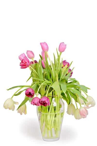 Tulips bouquet in vase — Stock Photo, Image