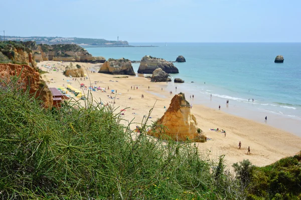 Vue de dessus à la plage — Photo