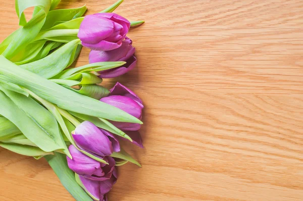 Row of multicolored tulips for border or frame — Stock Photo, Image