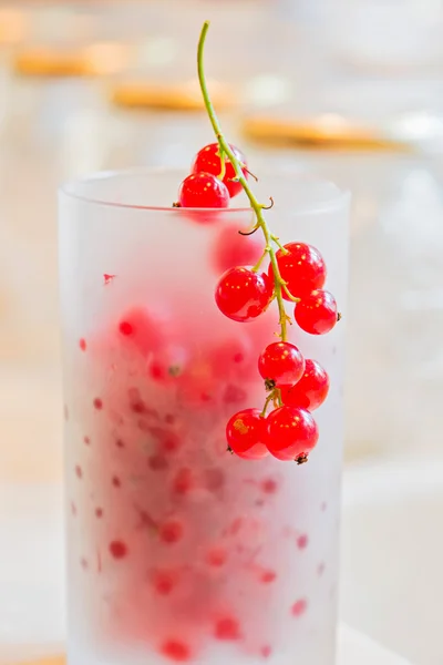 Fresh red currants in glass — Stock Photo, Image