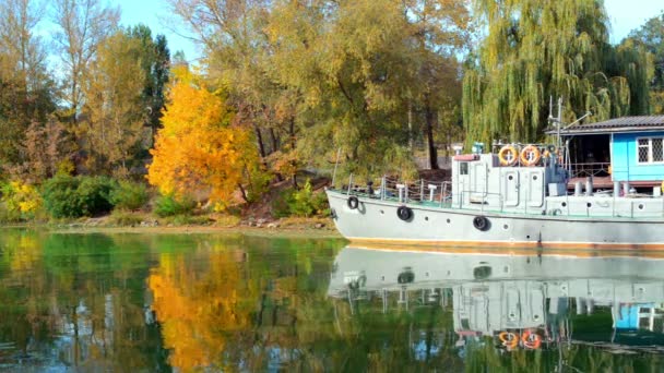 Forest lake in the autumn