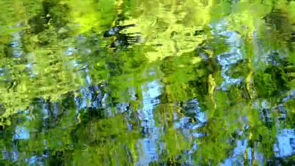 Reflection in the lake water — Stock Video