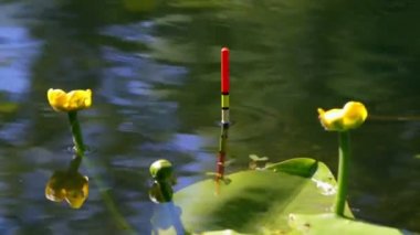 Balıkçılık float