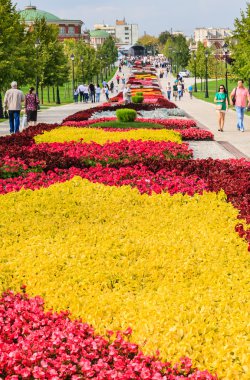 Sonbahar günü. Müze-Rezerv 