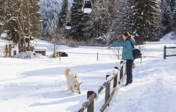Frau trainiert ihren Hund. Skigebiet Laax. Schweiz — Stockfoto