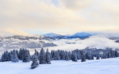 Kışın kar ile Dağları. Ski Resort Laax. İsviçre