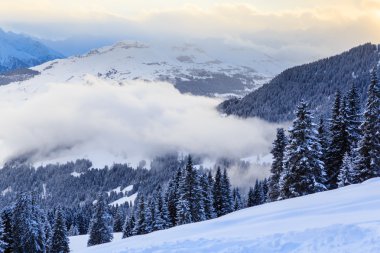 Kışın kar ile Dağları. Ski Resort Laax. İsviçre