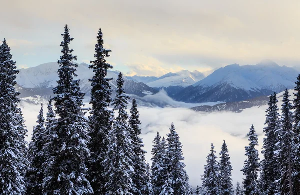 Hor se sněhem v zimě. Ski Resort Laax. Švýcarsko — Stock fotografie