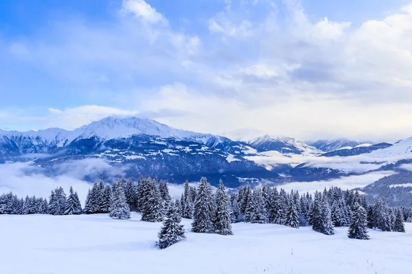 Mountains with snow in winter.  Ski Resort Laax. Switzerland Stock Image