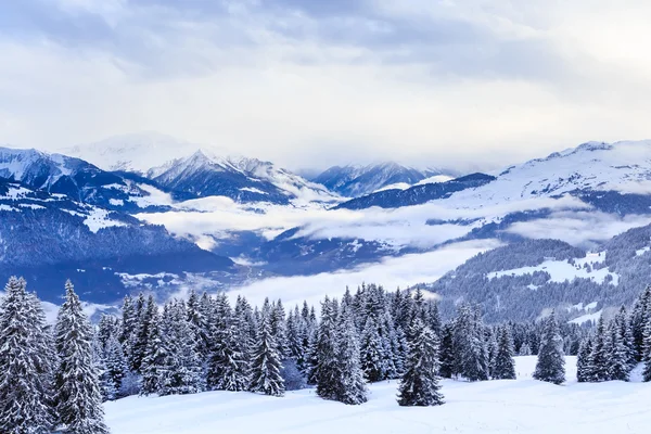 Mountains with snow in winter.  Ski Resort Laax. Switzerland Royalty Free Stock Photos