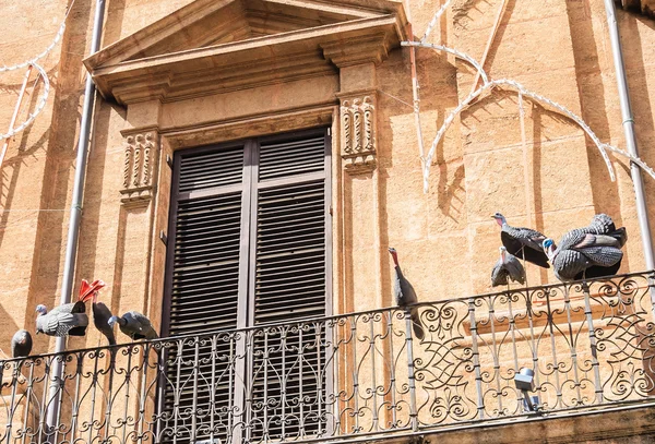 Balcón en Palermo con pájaros ficticios. Sicilia. Italia —  Fotos de Stock