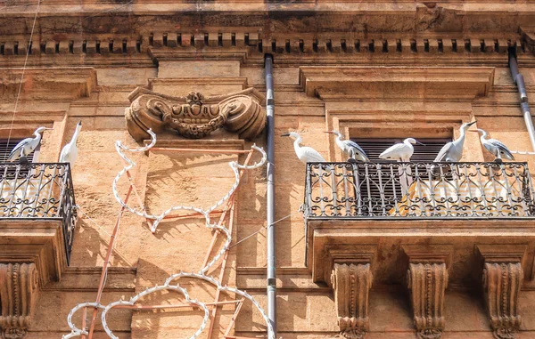 Balcony in Palermo with dummy birds. Sicily. Italy — Stock Photo, Image