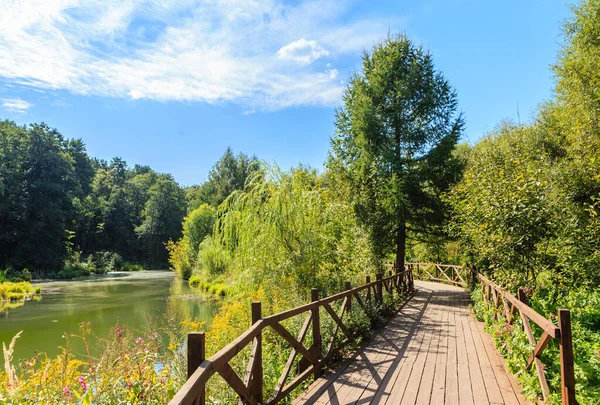 Drewniane Chodniki Wzdłuż Rzeki Khimki Szlak Ekologiczny Pokrovskoe Streshnevo Naturalny — Zdjęcie stockowe