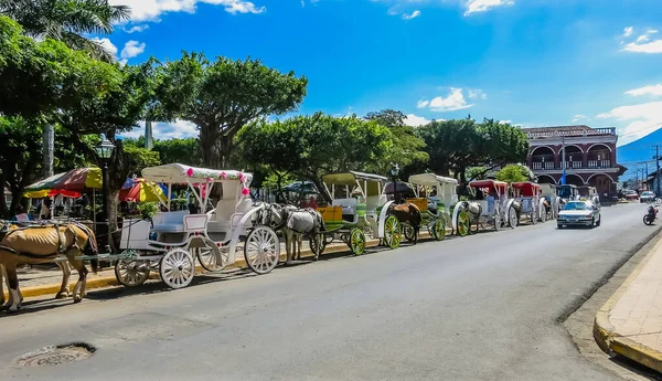 Chariots Tirés Par Des Chevaux Alignés Côté Parque Colon Principale — Photo