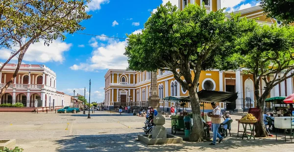 Parque Central Framför Our Lady Assumption Cathedral Eller Granadas Katedral — Stockfoto