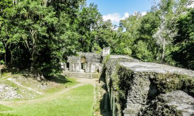 Tikal Ulusal Parkı, Guatemala, Orta Amerika 'daki ünlü antik Maya tapınakları