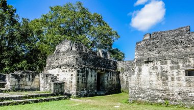 Tikal Ulusal Parkı, Guatemala, Orta Amerika 'daki ünlü antik Maya tapınakları