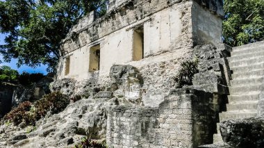 Tikal Ulusal Parkı, Guatemala, Orta Amerika 'daki ünlü antik Maya tapınakları