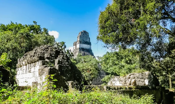 Híres Ősi Maja Templomok Tikal Nemzeti Parkban Guatemala Közép Amerika — Stock Fotó