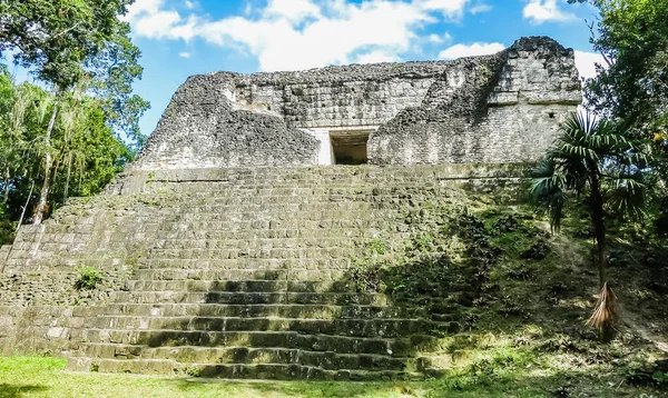 Berömda Gamla Maya Tempel Tikal National Park Guatemala Centralamerika — Stockfoto