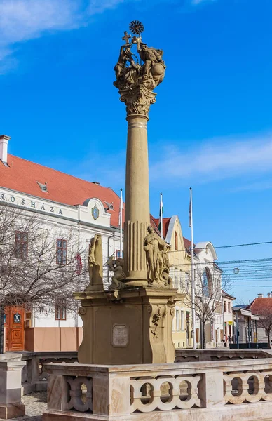 Columna Santísima Trinidad Plaza Ter Keszthely Hungría Europa —  Fotos de Stock