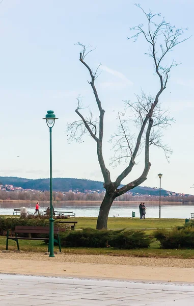 Banka Güvertesi Düz Göl Balaton Macaristan Avrupa — Stok fotoğraf