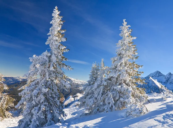 Paysage montagneux. Schladming. Autriche — Photo