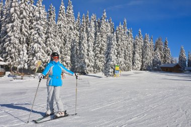 kayakçı dağların bir arka plan üzerinde. Ski resort schladming. Aust