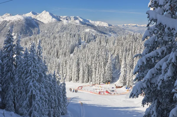 Στάδιο Παίδων. σκι resort schladming. Αυστρία — Φωτογραφία Αρχείου