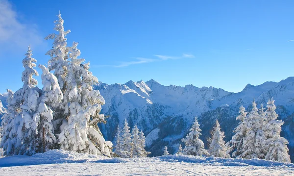 Hegyi táj. Schladming. Ausztria — Stock Fotó