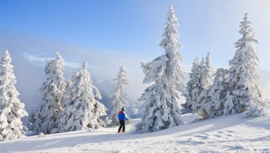 dağ manzarası. Schladming. Avusturya